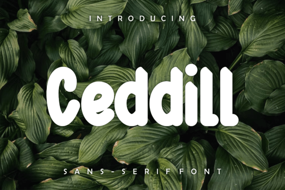 Ceddill: A Bold, Elegant Display Font for Editorial Design