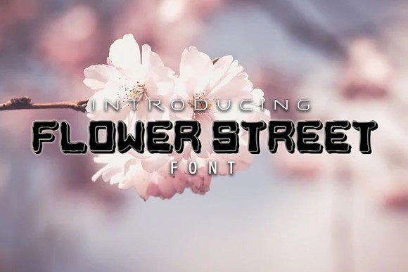 Flower Street: A Display Typeface That Breathes Life Into Editorial Moments