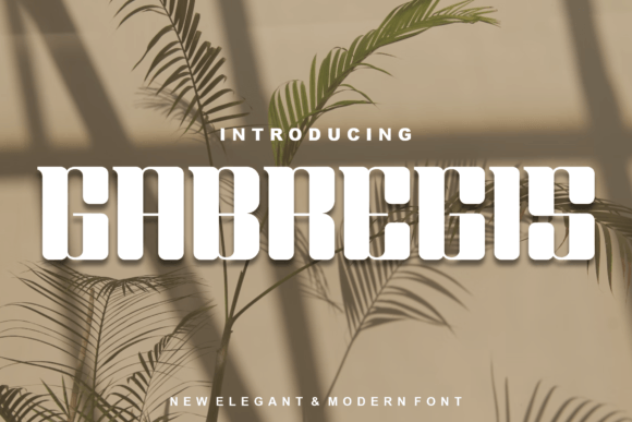 Gabregis: A Modern Display Font That Elevates Your Brand