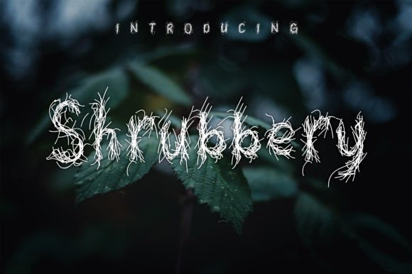 Shrubbery: A Whimsical Display Font That Delivers Personality